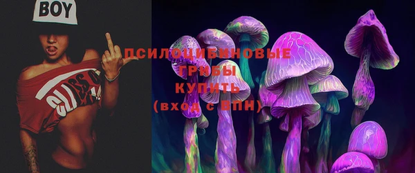 бошки Верхний Тагил