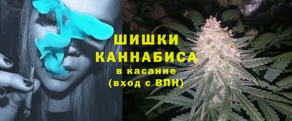 бошки Верхний Тагил