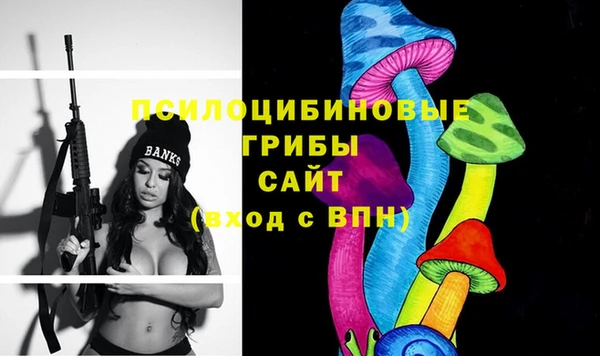 шишки Верхнеуральск